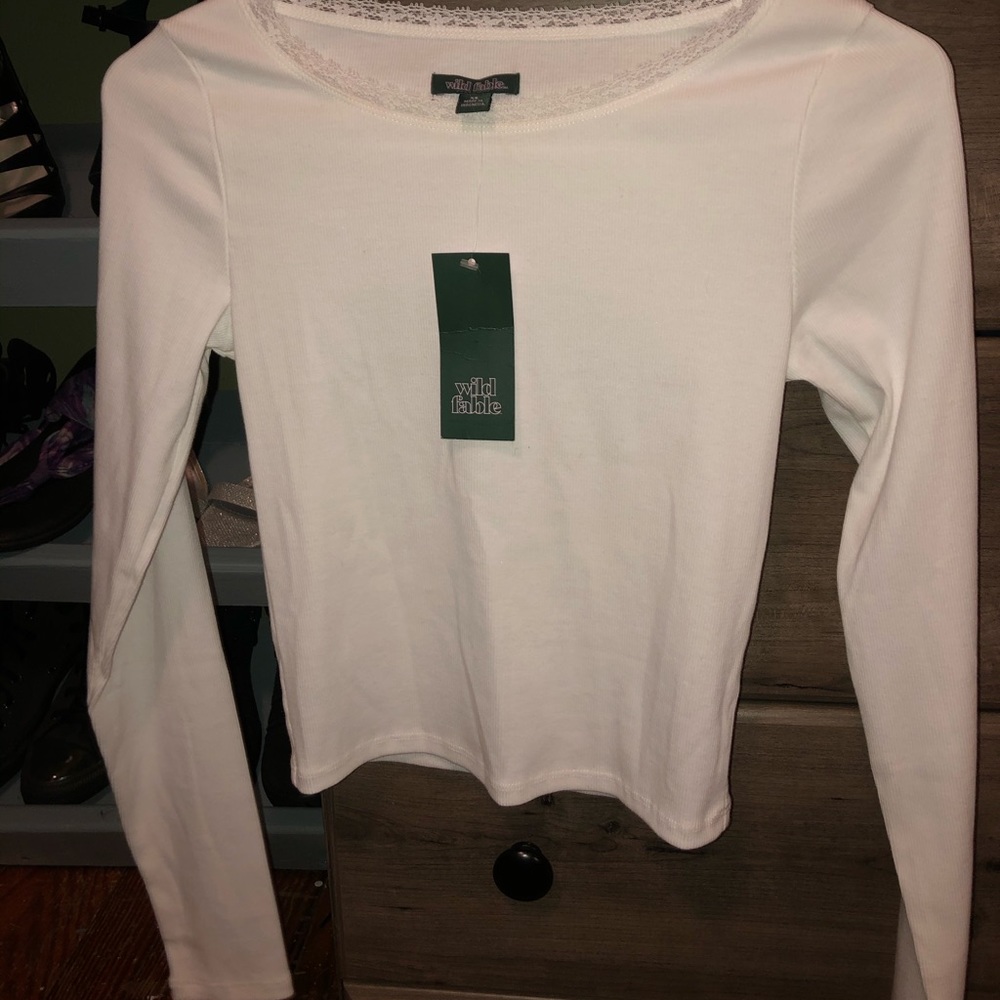 Wild Fable crop top
